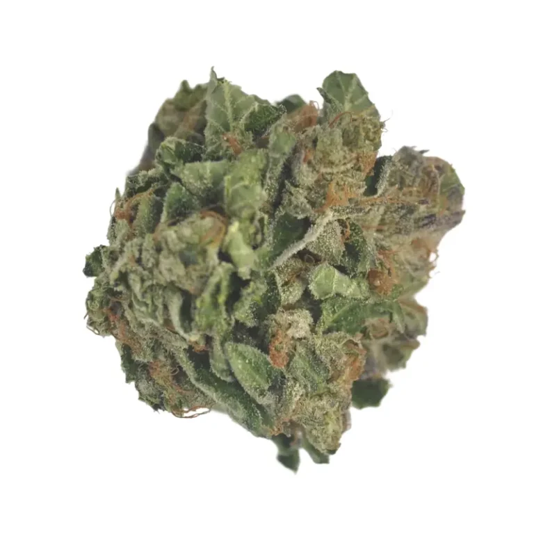 Violette Purps-Cannabisblüten mit dichten Trichomen im Nahaufnahme-Detail