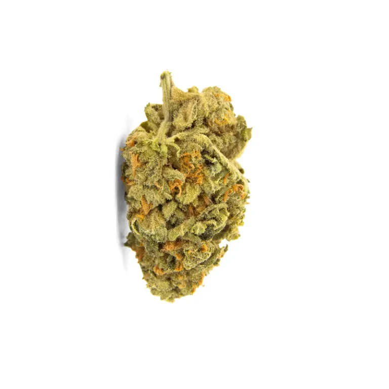Cannabisblüten der Sorte Rainbow Amnesia mit dichten, trichomreichen Buds