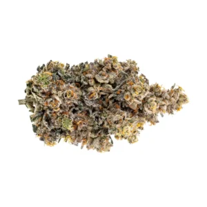Rainbow Chip Cannabisblüten mit grünen Buds und orangefarbenen Stempelfäden