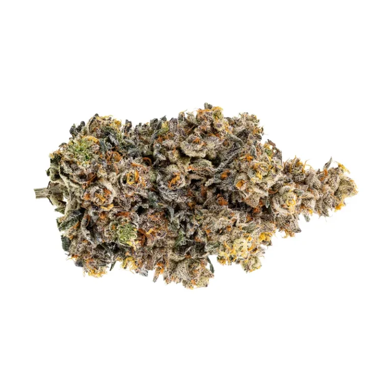 Rainbow Chip Cannabisblüten mit grünen Buds und orangefarbenen Stempelfäden