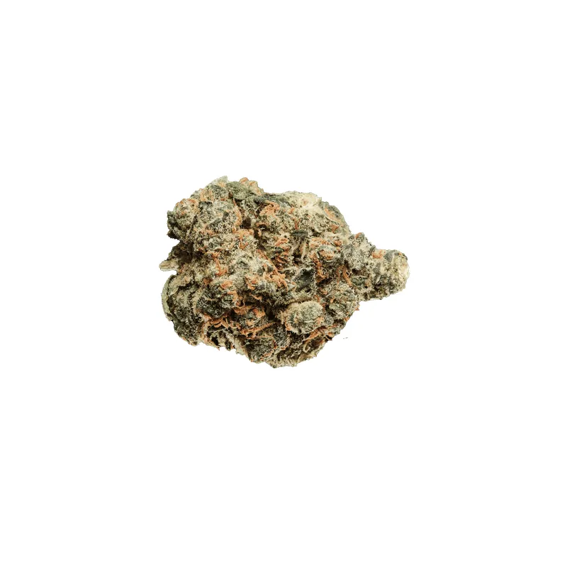 Dicht mit Trichomen bedeckte Blüten der Cannabis-Sorte Scoops mit Limonen-Terpenprofil