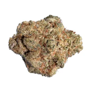 Slurricane