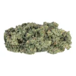 Nahaufnahme einer dicht getrimmten Spritzer Cannabisblüte mit sichtbaren Trichomen