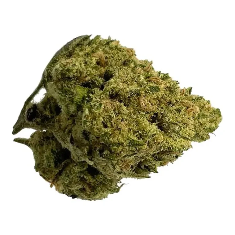 Tangie Cannabisblüte mit orangefarbenen Trichomen und Zitrusaroma