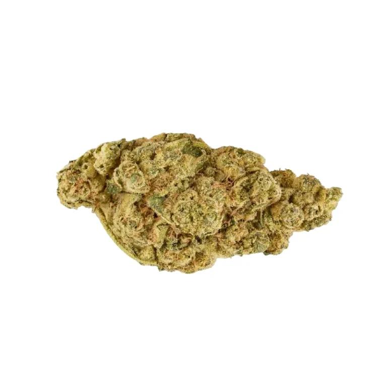 Triangle Mints Cannabisblüte mit minzig-hellgrünem Ton, rosafarbenen Akzenten und dichtem Trichombelag