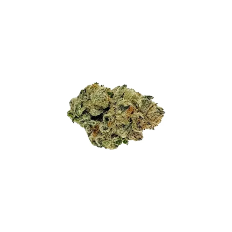 Cannabisblüte der Sorte Vanilla Cake mit dichten Trichomen und orangefarbenen Stempelfäden