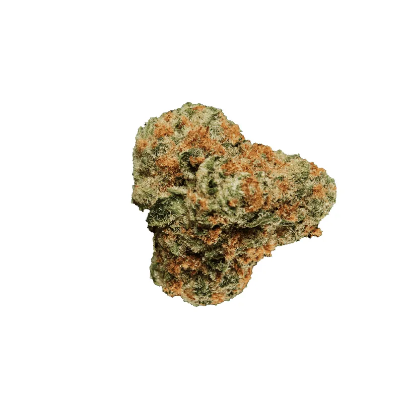 Waffle Truffle Cannabisblüte mit dichten Trichomen, medizinisches Cannabis mit Beta-Caryophyllen und Limonen