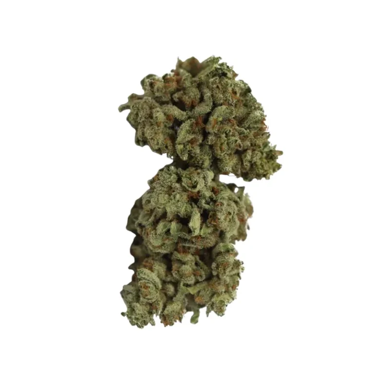 Wappa Cannabisblüte, indica-dominanter Hybrid mit Beta-Caryophyllen-Terpenprofil