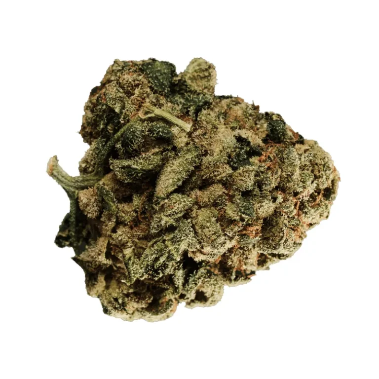 Cannabisblüten der Sorte Wedding Pop Triangle mit dichten, trichombedeckten Buds