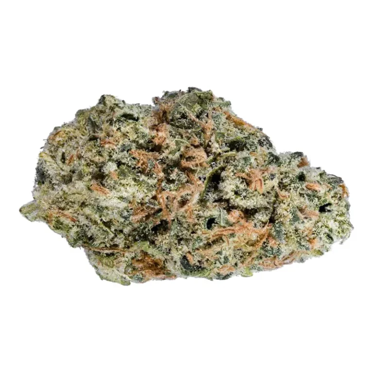White Widow Cheese Cannabisblüten mit dichtem Trichom-Überzug, indica-dominanter Hybrid mit Alpha-Pinen