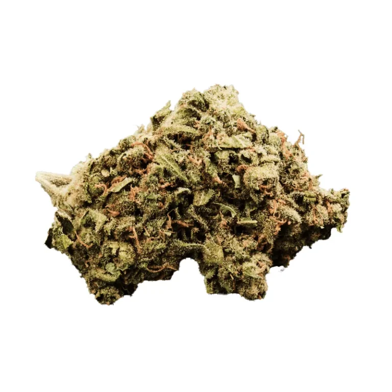 Cannabisblüte der Sorte Zour Apple mit dichten Trichomen und grünlichen Blütenblättern